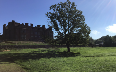 Condover 2026 Day 2